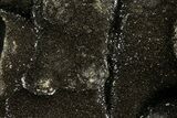 Bargain, Septarian Dragon Egg Geode - Black Crystals #172807-3